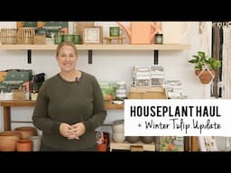 Houseplant Haul + An Update On My Winter Hydroponic Tulips for Valentines!  Sunshine and Flora