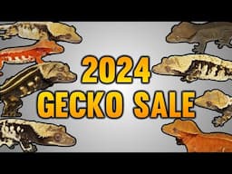 2024 Spring Crested Gecko Sale Preview!