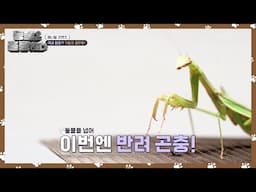 [애니멀 프렌즈] 국내 최초?! 덕질의 끝판왕! [동물은 훌륭하다] | KBS 250210 방송