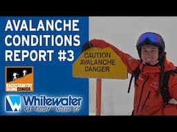 Avalanche Conditions Report #3