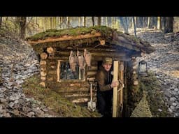 7 DAYS of building Survival Shelters / Bushcraft Earth Hut, log and moss walls ASMR