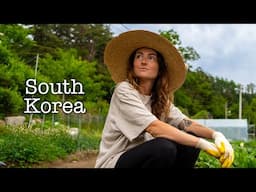 Life Inside A Meditation Centre In South Korea