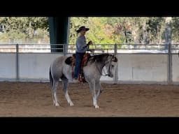 Why Do Horses Need To Get Light?