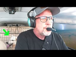 Fighting Storms in a little plane to save a pregnant dog