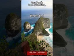 NUSA PENIDA'S FAMOUS T-REX ISLAND & THE PRISTINE WHITE KELINGKING BEACH FROM KELINGKING CLIFF POINT!