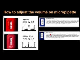 How to adjust the volume on micropipette