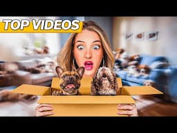 Gifting a Puppy to My Best Friends! | Alexa Rivera