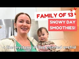 Family of 13 - Snowy Day Smoothies, Painted Orchid, Unboxing & Tea shop!