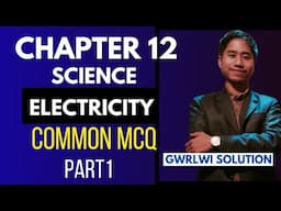 SCIENCE CHAPTER 12 COMMON HSLC MCQ || SEBA  ELECTRICITY MCQ | PART 1