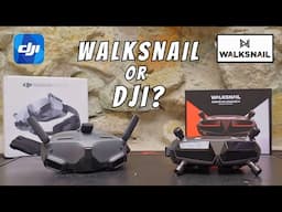 Should you buy DJI or Walksnail? 🤔 Caddx FPV Goggles X Review