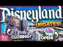 Disneyland Construction Updates & Ride Closures FEBRUARY 2025