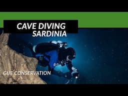 Cave Diving Sardinia - Bue Marino Ecosystem Characteristics