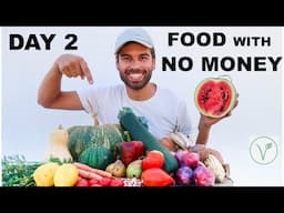 HOW TO EAT WITH NO MONEY - CHALLENGE DAY 2/3