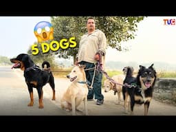 How to Manage Multiple DOGS Together?? | TUC