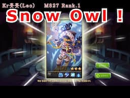 Magic Rush Leo : Snow Owl !