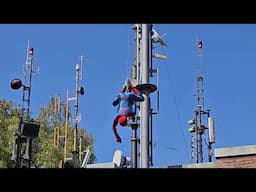 Spider-Man Swinging Above Avengers Campus at Disney California Adventure 5/12/23