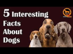 5 interesting facts about dogs | Bengali | QDogS