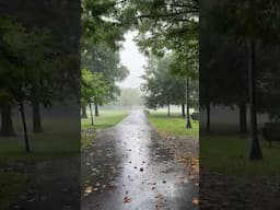 Walking In The Rain 🌧️🇺🇸 #newyorkcity #city #beautiful #travelamerica #proudamerican #trending