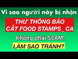 #856]VÌ SAO NGƯỜI NÀY BỊ CẮT FOOD STAMPS ? KHÔNG PHẢI SCAM! LÀM SAO TRÁNH?