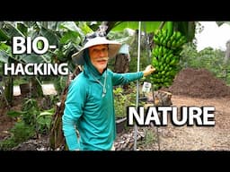 BIO-Hacking Nature! How to Maximize Fertility In Your Florida Food Forest!