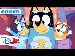 BLUEY CORTOS: Los tres cerditos 🐷📕 | @DisneyJuniorES