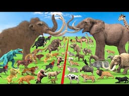 Animal Epic Battle Prehistoric Mammals vs Modern Animals Size Comparison Mammoth MastodonVsElephant