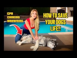 HOW TO SAVE YOUR DOG'S LIFE! / DOG CPR / REMOVING OBSTRUCTION & TOXIC FOOD GUIDE