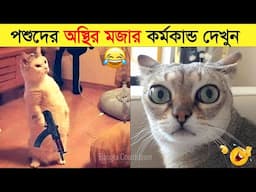 পশুদের মজার কর্মকান্ড ক্যামেরায় ধরা পড়া | Funny Animals Video 2023 (Part-17) | mayajaal