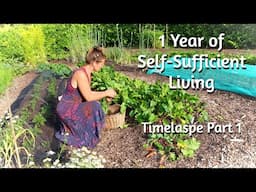 WHAT WE GROW IN A YEAR - Self-Sufficient Living in the UK - 1 Year Timelapse - Part 1/2