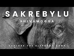 SAKREBYLE ELEPHANT CAMP | SHIMOGA | ECOTOURISM  | MONSOON ROAD TRIP | KARNATAKA | WESTERN GHATS