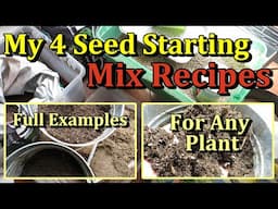 4 Seeding Starting Mixes for Any Garden Plant (Indoor or Outdoor, The Ingredients, The Recipes)