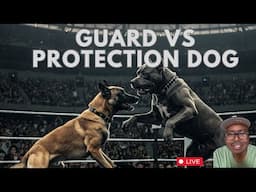 GUARD VS PROTECTION DOG