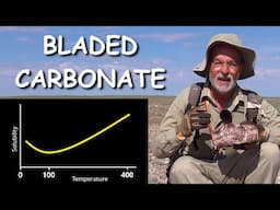 How Bladed Carbonate Texture Forms