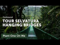 Selvatura Hanging Bridges COSTA RICA Tour — Ep. 408