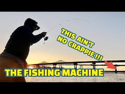 CATCHING FISH to EAT for DINNER with THE FISHING MACHINE !!!