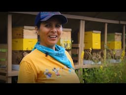 Cinderland Beekeeping