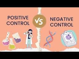 Positive Control vs Negative Control | Experimental Group