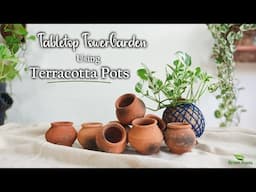 Table top Tower Garden Using Mini Terracotta Pots | Vertical Gardening for Small Space//GREEN PLANTS