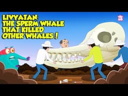 Deadliest Prehistoric Predator | Livyatan The Sperm Whale That Killed Other Whales | Dr Binocs Show