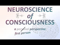 Neuroscience of Consciousness in 2024: Charting a New Era of Transformative Change and Discovery