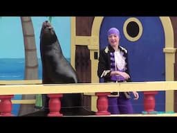 (Throwback) Clyde and Seamore Take Pirate Island Show (Sea Lion & Otter) | SeaWorld Orlando | 2011