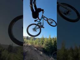 Jumps, rollers, berms