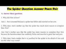 The Spider Poem Pair Question and Answer The Magic Carpet English Class 6