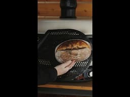 Sourdough bread in a pizza oven?!  #gozney #baking #recipe #sourdough #shorts