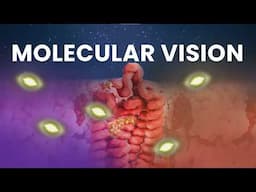 Where the Light Touches Your Eyes｜Phototransduction and Rhodopsin