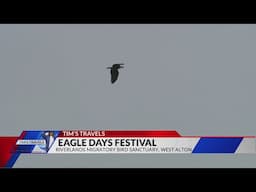 Tim's Travels: Eagle Days Festival