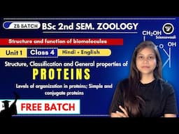 Proteins BSc 2nd semester 🔥💯Levels of organization in proteins; Simple and conjugateproteins