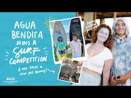 Our Isla Life: Agua Bendita joins a surf comp | new pet bunny!!