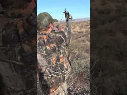 Javelina DROPPED IN HIS TRACKS! (Insane bow shot)