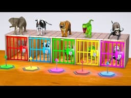 Long Slide Game With Elephant Gorilla Buffalo Hippopotamus Tiger 3d Animal Game Funny 3d Animals 214